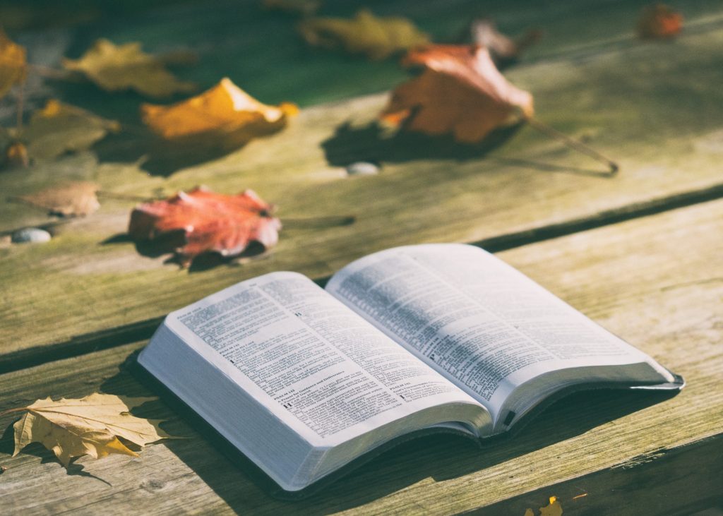 bible-1868070_1920